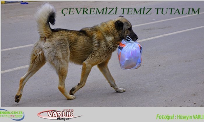 5 Ocak 2014 – Günün Fotoğrafı