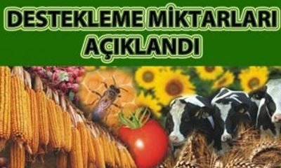 Mengen Gıda, Tarım ve Hayvancılık İlçe Müdürlüğünden
