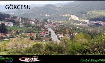 10 Şubat 2014 – Günün Fotoğrafı
