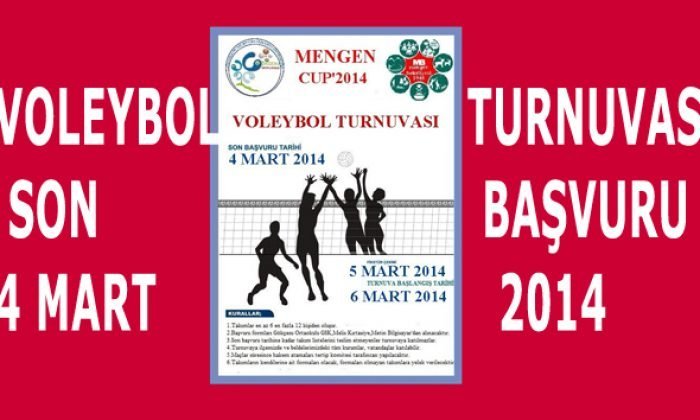 VOLEYBOL TURNUVASI