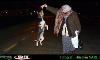 13 Mart 2014-Günün fotoğrafı