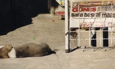 Salla Başı Al Maaşı