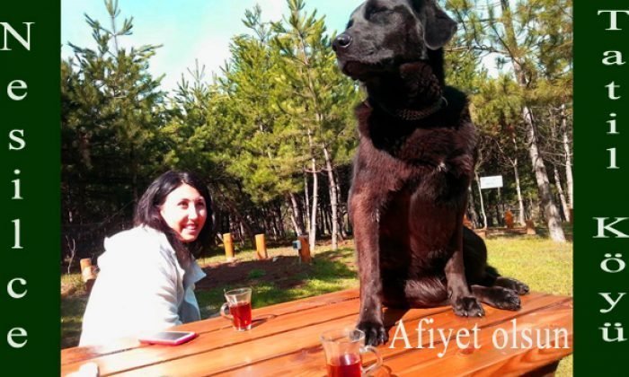 22 Nisan 2014 – Günün Fotoğrafı