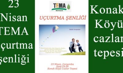 TEMA Mengen Uçurtma Şenliği
