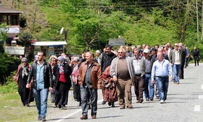 İkizdere’de HES için yüzlerce ağaç kesildi, köylüler ayaklandı