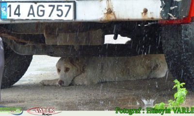 14 Mayıs 2014 – Günün Fotoğrafı