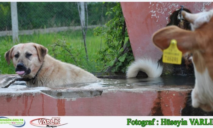 23 Mayıs 2014 – Günün Fotoğrafı