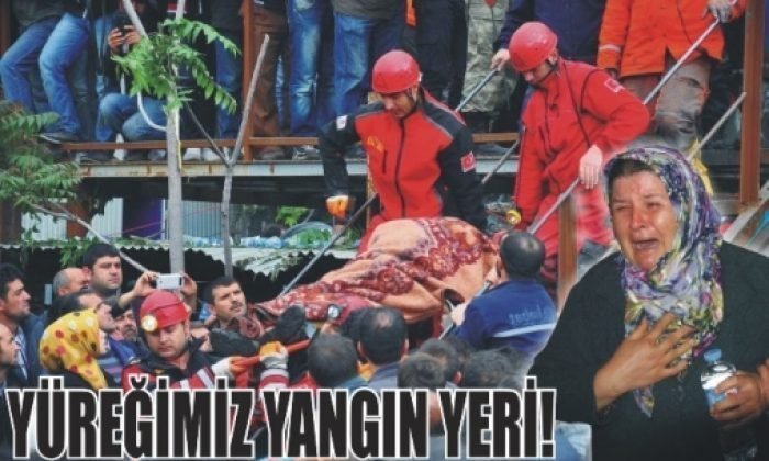 282 ölü, 76 milyon yaralı
