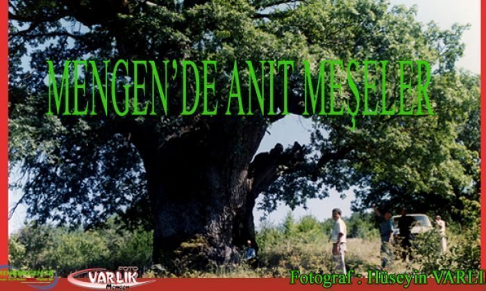 5 Mayıs 2014 – Günün Fotoğrafı