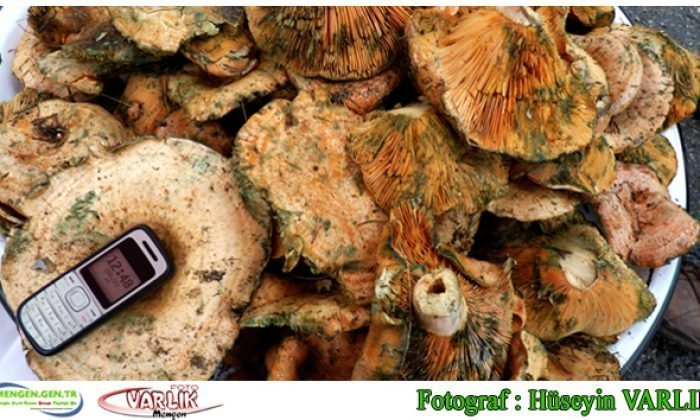 12 Haziran 2014 – Günün Fotoğrafı