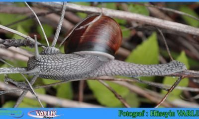 20 Haziran 2014 – Günün Fotoğrafı