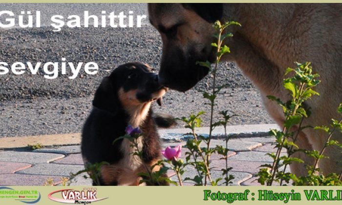 27 Haziran 2014 – Günün Fotoğrafı