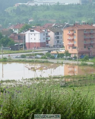 SELİN ARDINDAN İLK GÖRÜNTÜLER