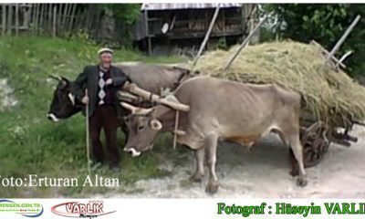 1 Temmuz  2014 – Günün Fotoğrafı