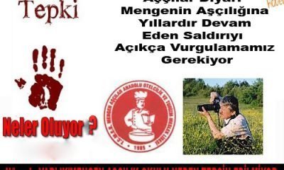 Mengen’li Aşçılık okulunu neden tercih etmiyor?