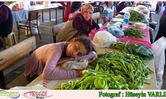 16 Ağustos 2014 – Günün Fotoğrafı