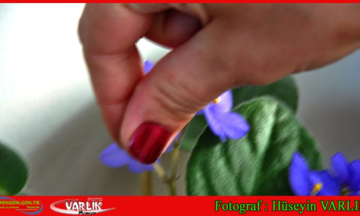 22 Ağustos 2014 – Günün Fotoğrafı