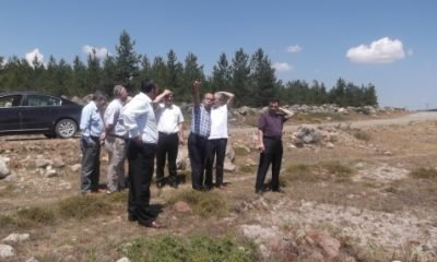 Ülker’den Dörtdivan’da dev yatırım