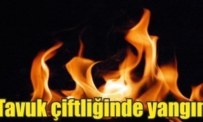 Pazarköy’de tavuk çiftliğinde yangın