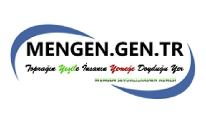 AYDIN DEDE GÖZÜN AYDIN