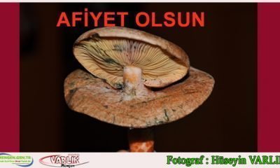 29 Eylül 2014 – Günün Fotoğrafı