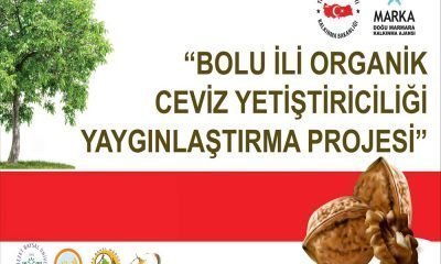 ORGANİK CEVİZ PROJESİNDE SONA GELİNİYOR