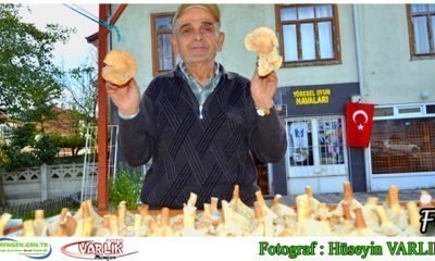 31  Ekim Günün Fotoğrafı