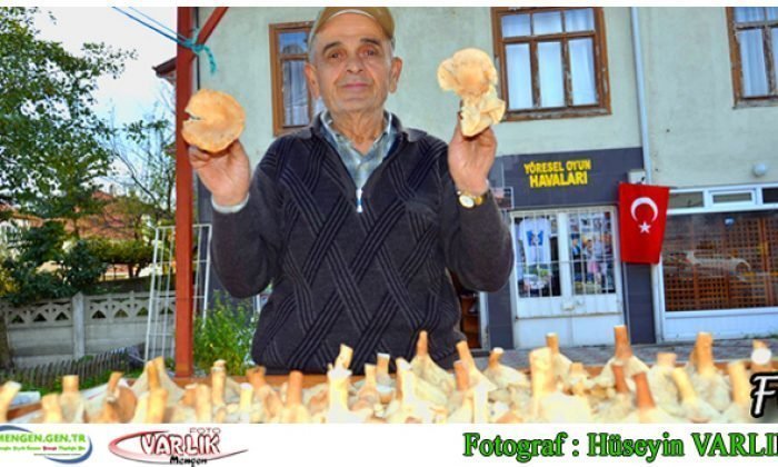 31  Ekim Günün Fotoğrafı