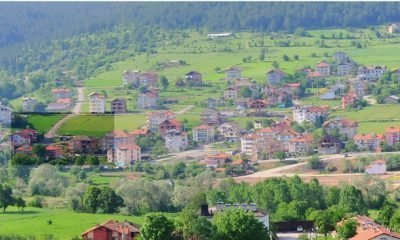 Camiler ve Din Görevlileri haftası yapılan etkinliklerle kutlandı