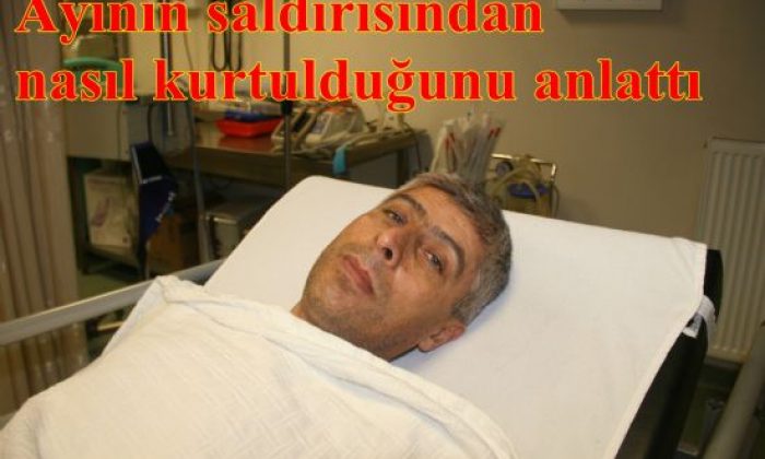 Ayının merhametine sığınmış