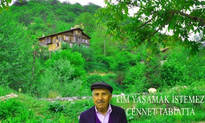 26 Kasım Günün Fotoğrafı