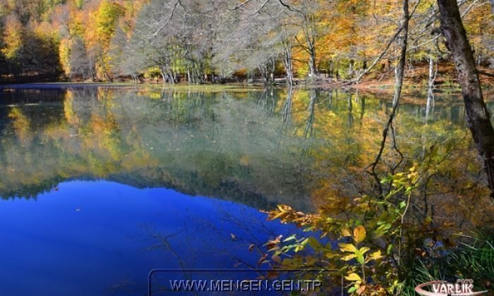 Yedigöllerden fotoğraflar