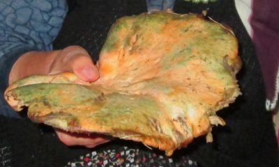 MANTARIN MENGEN’DE SON SALTANATI