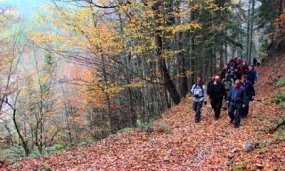 Bolu doğasıyla meydan okuyor