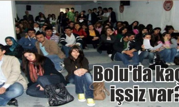 Bolu’da kaç işsiz var?