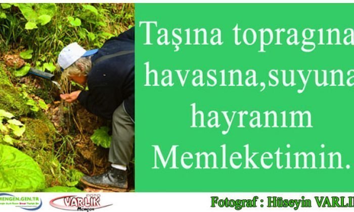 7 Aralık Günün Fotoğrafı