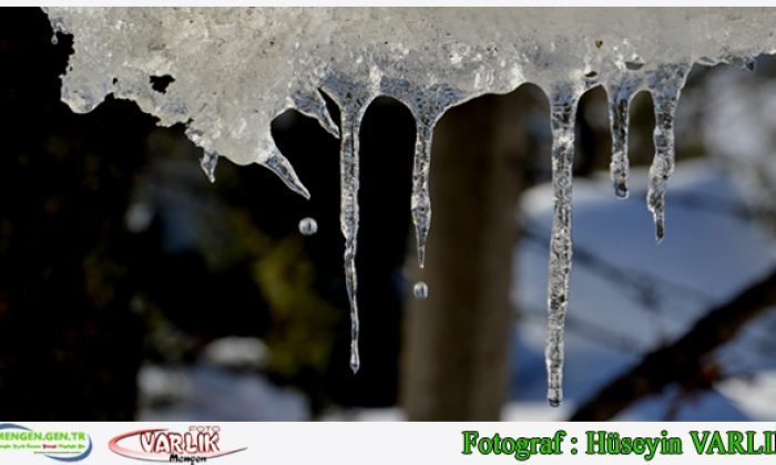 25 Ocak Günün Fotoğrafı