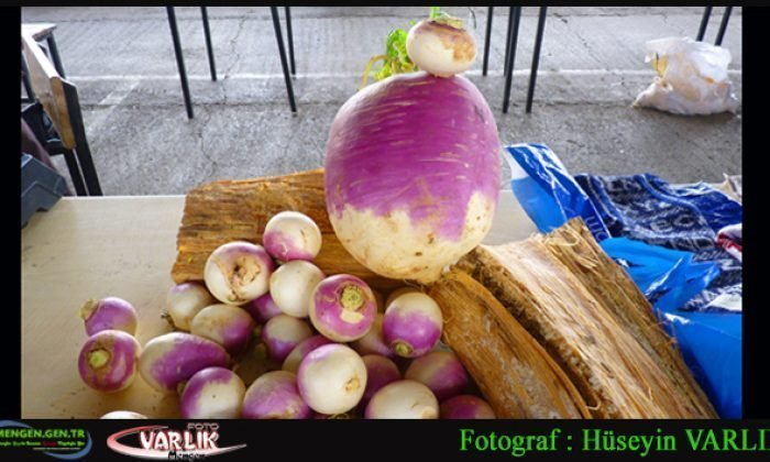 31  Ocak Günün Fotoğrafı
