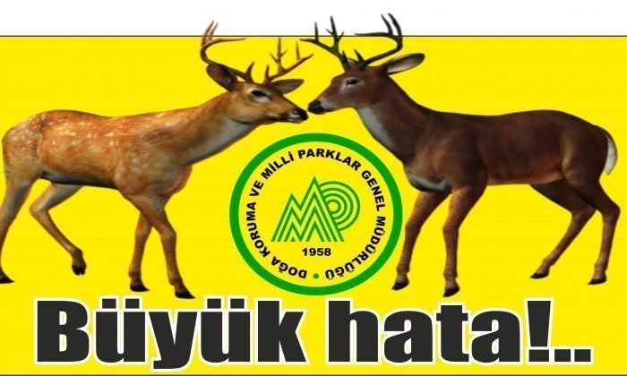 Büyük hata!..