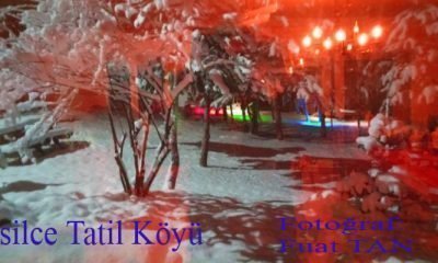7 Ocak Günün Fotoğrafı