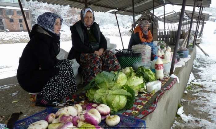 Karlar altında Mengen’den manzaralar