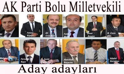 KAYMAKAM ERENOĞLU YENİÇAĞA VİZYONU OLUŞTURULDU