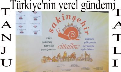 SAKİN ŞEHİR HAREKETİ