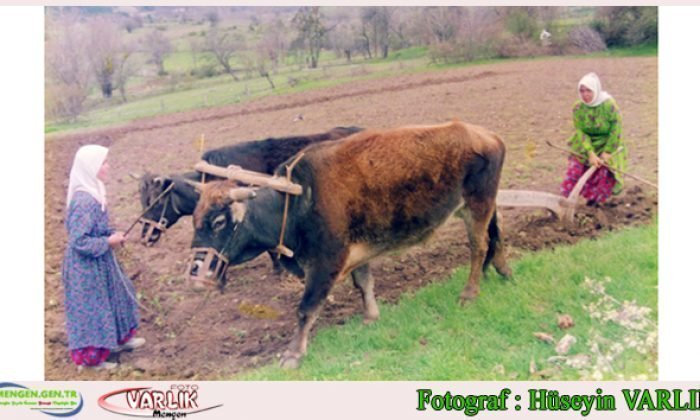 6 Mart Günün Fotoğrafı