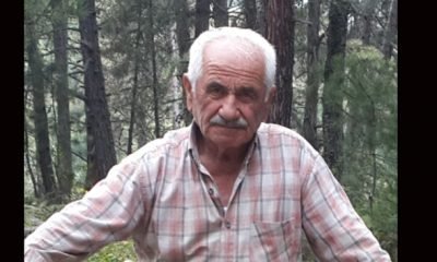 SON DAVET