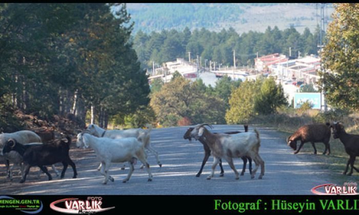 25 Mart Günün Fotoğrafı
