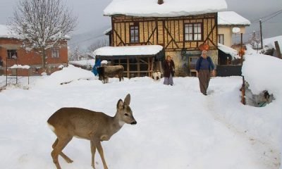 KADERİMİ GERİ İSTİYORUM