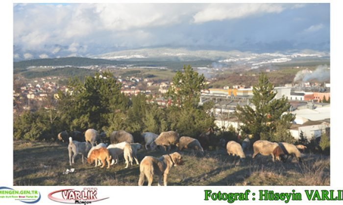 3 Nisan Günün Fotoğrafı
