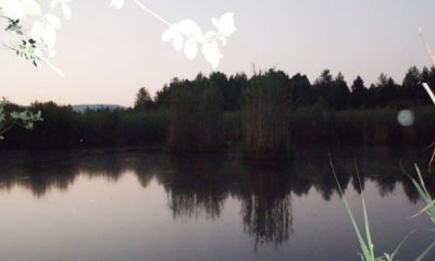 Halit AKÇA’dan Fotoğraflar iyi seyirler