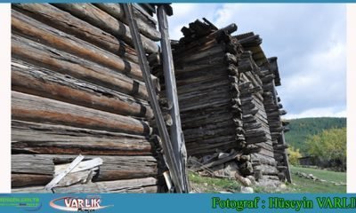 5 Mayıs Günün Fotoğrafı
